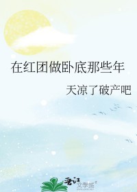 [海贼王同人] 在红团做卧底那些年